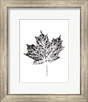 Harvest Sentiments I BW no Words Fine Art Print