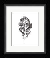 Harvest Sentiments VIII BW no Words Framed Print