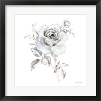 Sketchbook Garden IX Framed Print