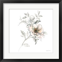 Sketchbook Garden VII Framed Print