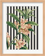 Herbal Botanical XXVI Bold Fine Art Print
