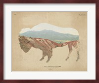 American Southwest Buffalo Distressed Fine Art Print