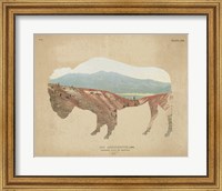 American Southwest Buffalo Distressed Fine Art Print