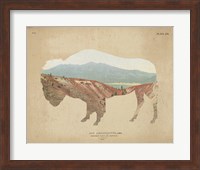 American Southwest Buffalo Distressed Fine Art Print