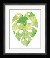 Palm Leaf 2 Fine Art Print