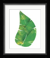 Palm Leaf 6 Fine Art Print