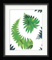 Palm Leaves Composition Fine Art Print