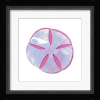 Seashell 2 Fine Art Print