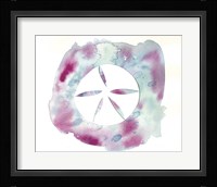 Watercolor Sand Dollar Fine Art Print