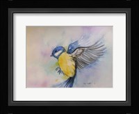 Bluebird Fine Art Print