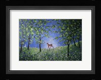 Evening In The Bluebell Wood Fine Art Print