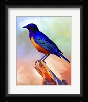 Bird Fine Art Print