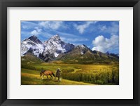 Wild Nature Fine Art Print