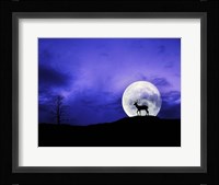 Big Moon Fine Art Print
