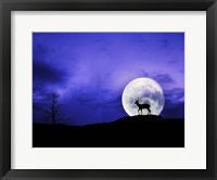 Big Moon Fine Art Print