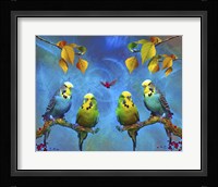 Color Birds Fine Art Print