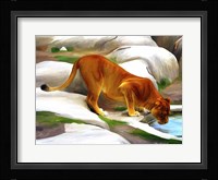 Lioness Fine Art Print
