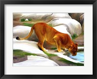 Lioness Fine Art Print