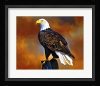 The Eagle Fine Art Print