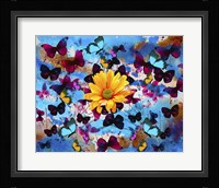 Daisy And Butterflies Fine Art Print