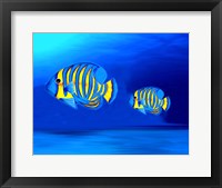 Colorful Fishes Framed Print