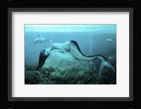 Sleeping Mermaid Fine Art Print