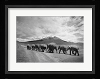 Stay In Line Framed Print