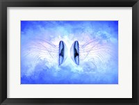 Ocean Life Framed Print
