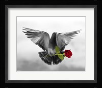 Love Bird Fine Art Print