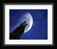 Wolf Night Fine Art Print