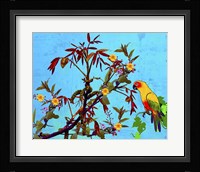 Parrot in Garden 2 Fine Art Print