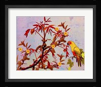 Parrot in Garden Fine Art Print