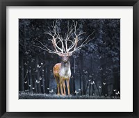 Magical Deer Fine Art Print