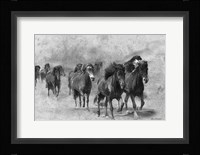Wild Horses 2 Fine Art Print