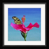 Butterfly And Flower 3X Fine Art Print