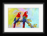 Parrots 87A Fine Art Print
