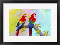 Parrots 87A Fine Art Print