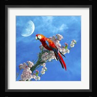 Red Parrot Fine Art Print