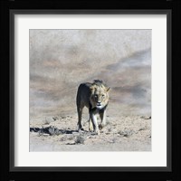 The King 2A Fine Art Print