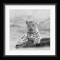 The Leopard 2A2 Fine Art Print