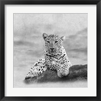 The Leopard 2A2 Fine Art Print