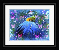 Bird In Color Framed Print