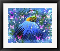 Bird In Color Fine Art Print