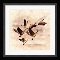 Birds Fly Away 1 Fine Art Print