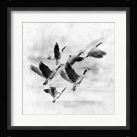 Birds Fly Away 2 Framed Print