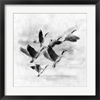 Birds Fly Away 2 Framed Print