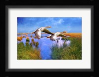 Birds In Nature Fine Art Print