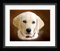 Dog 1A Fine Art Print