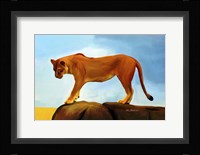 Lioness On A Rock 1 Fine Art Print