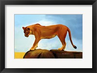 Lioness On A Rock 1 Fine Art Print
